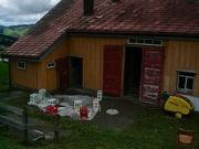 2004hoermalwerdahaemmert10200608241448696526