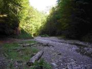2006ofenloch05200608272028842622