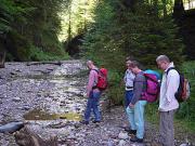 2006ofenloch06200608271357239384