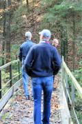 2008herbstwanderung10200811061696308612