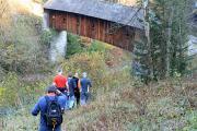 2008herbstwanderung11200811061698053623