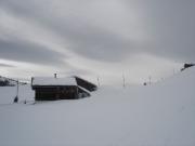 2010iceage613201002281554671468