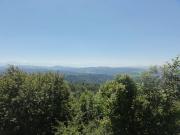 dsc02966