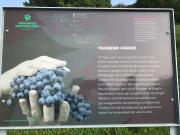 IMG4589