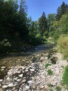 IMG9739
