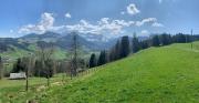 WhatsApp-Bild-2025-04-06-um-17425384494317
