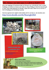 2014 holzenmitstihl