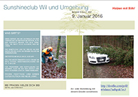 2016 01 holzen mit stihl
